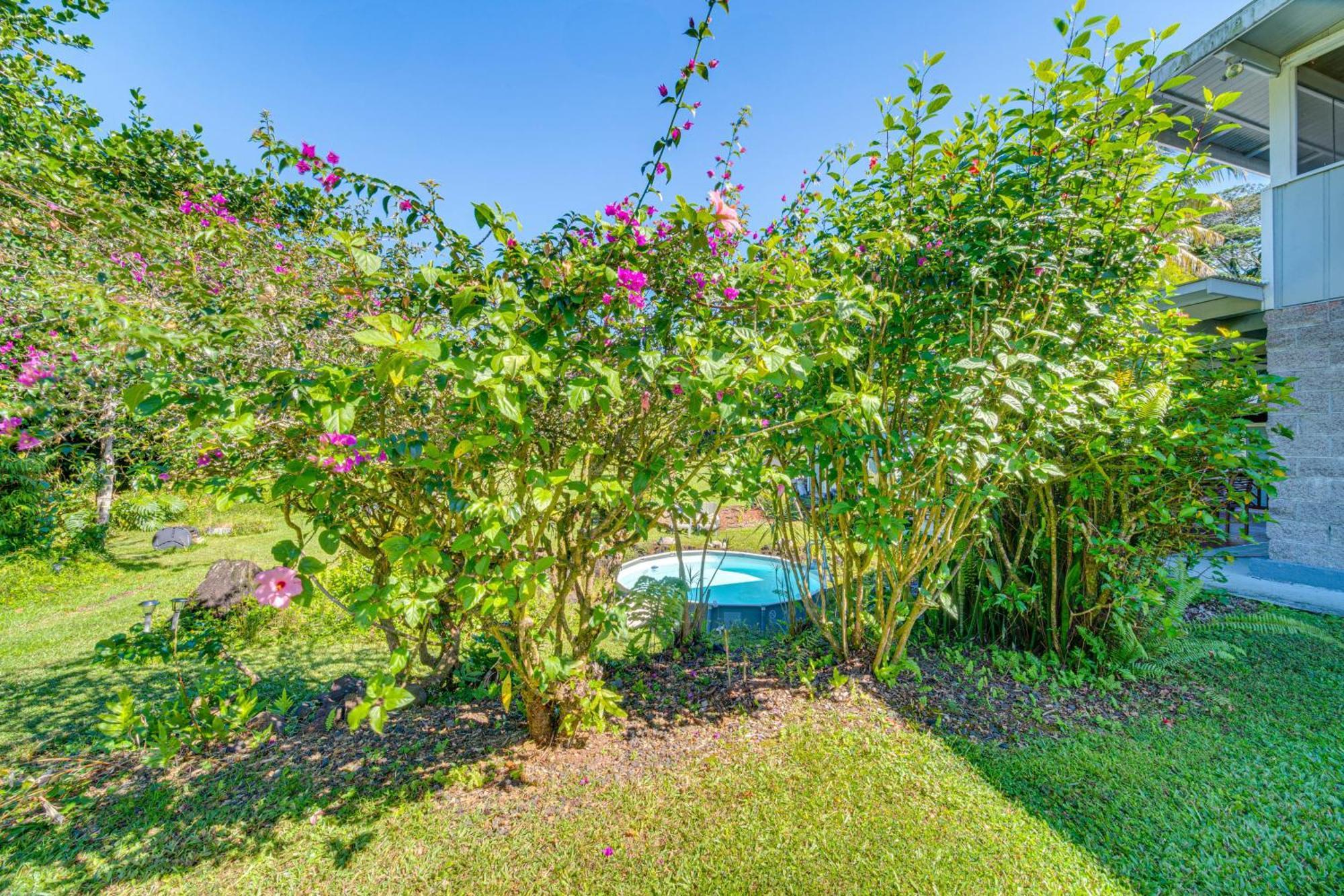 Keaau Apartment On Beautiful Acre With Pool And Deck! Luaran gambar